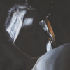 where_the_light_finds_the_dark