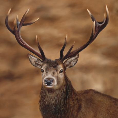 Monarch_Rachel-Stubbs-Art