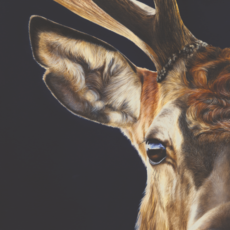 I-See-You_Rachel-Stubbs-Art