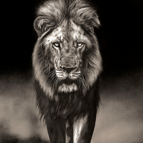 Now-You-See-Me-III_Rachel-Stubbs-Art
