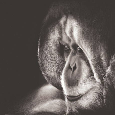 Now-You-See-Me-VII_Rachel-Stubbs-Art