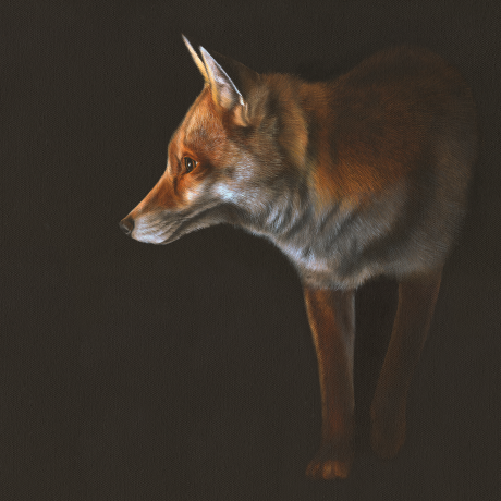 Out-Of-The-Shadows_Rachel-Stubbs-Art